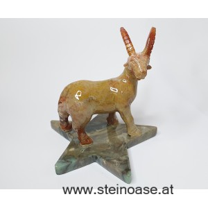 Sternzeichen STEINBOCK